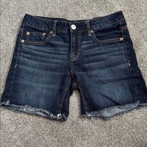 American Eagle Outfitters Blue Denim Shorts